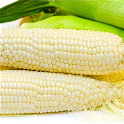 Кукуруза сахарная БЕЛОЕ ОБЛАЧКО, 5 семян