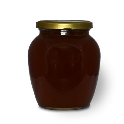 Горный мёд "Дягиль + разнотравье" 1 кг (2021 года)