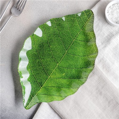 Блюдо стеклянное сервировочное Доляна «Лист», 31×19 см, цвет зелёный