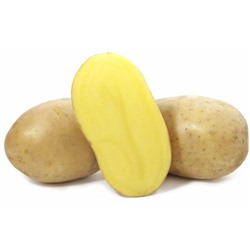 Картофель Вега 2,5кг 1 репродукция, раннеспелый (60 дн.), желтый,  200руб за сетку 2,5кг к оплате
