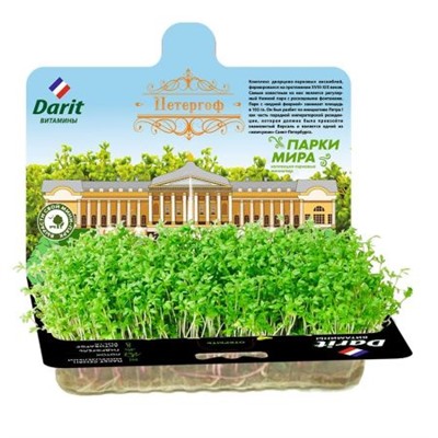 Микрозелень Кресс-салат Набор для выращивания Дарит (Летто) 12.24г цена со скидкой 30%