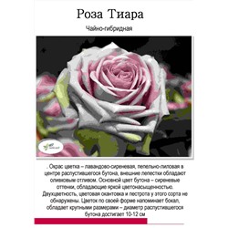 Роза Таира