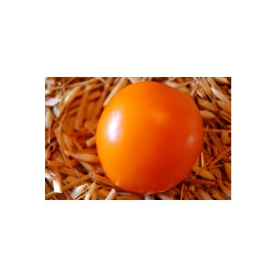 Персик Оранжевый