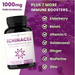 Echinacea 1000mg (2 капсулы) NutraChamps, США капсулы 60