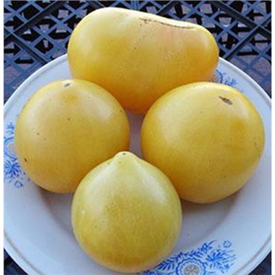Гном Лимонный лед (Lemon ice dwarf) США, 5 семян