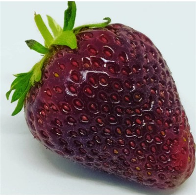 Томат Черная Клубника (Black Strawberry) ( США), 5 семян
