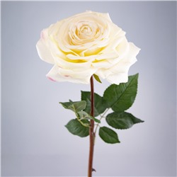 Роза, одиночная, искусственная, h52см, кремовый