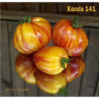 Томат Козула 141 (Kozula 141), Польша, 5 семян