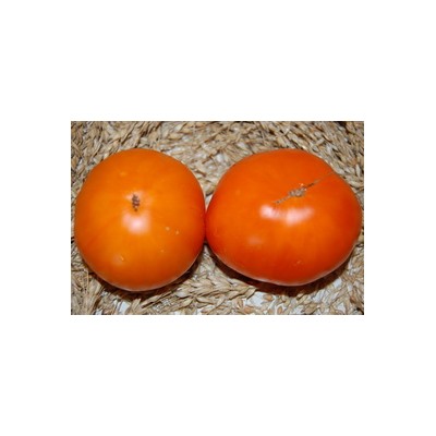 Алтайский оранжевый
