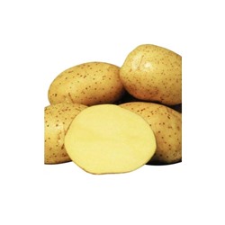 Картофель Ривьера 2,5кг 1 репродукция крупноплодный