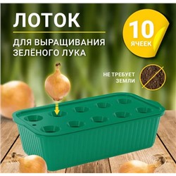 Ящик для выращивания лука с лотком 10 ячеек 305х160х85 к оплате 130руб