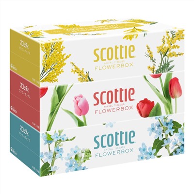 Салфетки Crecia "Scottie Flowerbox" двухслойные, 250 шт. х 3 коробки