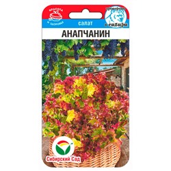 [СибСад] Салат Анапчанин - 0,5 гр NEW!!!