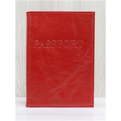 Обложка для паспорта 4-195