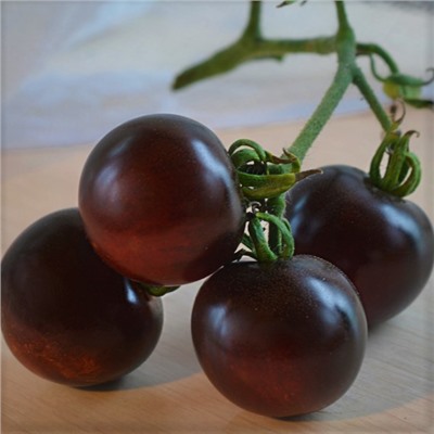 Томат Черника (Blueberry Tomato) , США, 5 семян