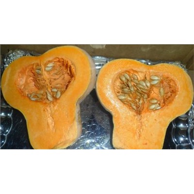 Мускатная тыква Moschata Orange Mini Pumpkin