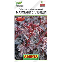 Ком: Гибискус Махогани сплендер /Аэлита/ 3шт/ h-90см