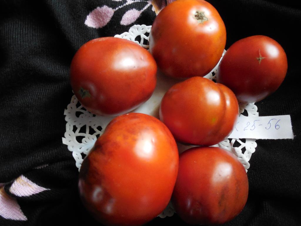 Экзотические томаты