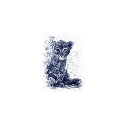 Скетчбук Маленький леопард (А5, на спирали) С50-4216, (МИЛЕНД, 2023), Обл, c.100