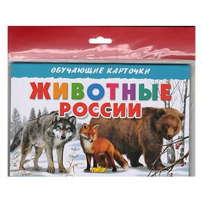 ОбучающиеКарточки Животные России (16 карточек) (в пакете), (Литур-К, 2023), Л