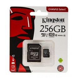 Kingston Micro 256GB