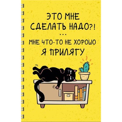 Тетрадь А4 60л клетка пластиковая обложка на спирали "День кота (Эксклюзив)" ТПС4605207 Эксмо {Россия}