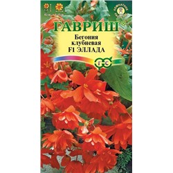 Ком: Бегония Эллада F1 /Гавриш/ 4шт/ ампельн гранул. h-45см d-8см