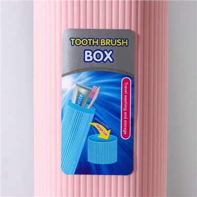 Футляр для зубной щётки и пасты, 19,5 см, цвет МИКС