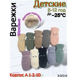 Детские варежки  12 пар 1833782-1