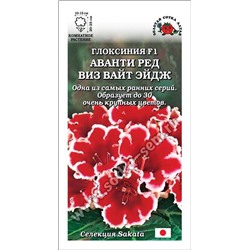 Ком: Глоксиния Аванти Ред виз Вайт Эйдж F1 /Сотка/ 5шт/ h-25см d-15см Sakata/*350