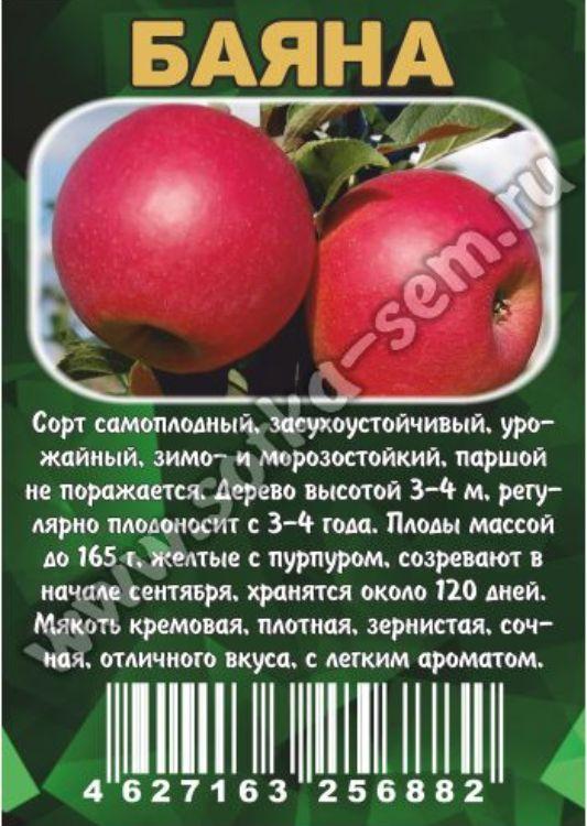 Яблоня баяна описание сорта отзывы. Яблоня баяна. Коробочка яблони. Яблоня Ранетка пурпуровая. Яблоня баяна описание сорта.