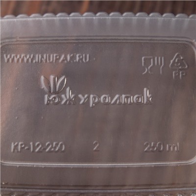 Контейнер пластиковый одноразовый «Южуралпак», КР-12, 250 мл, 11,5×9×5,5 см, цвет прозрачный