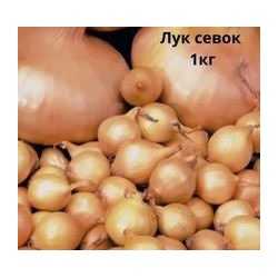 Лук севок Штутгартен 1кг