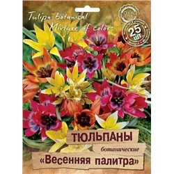 Тюльпан Весенняя политра Ботанические Смесь 6/7, 6/8 25шт (Поиск)