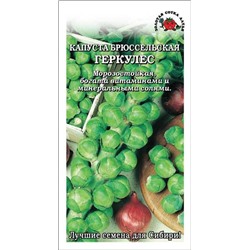 Капуста брюссельская Геркулес б/п /Сотка/ 0,3г/ позднесп. морозостойк. 8-12г/*1400