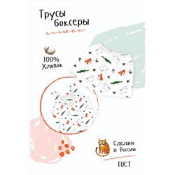 Трусы Боксеры Лимпопо детские