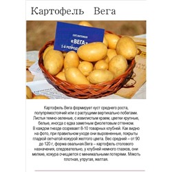 Картофель Вега, сетка 2,5кг