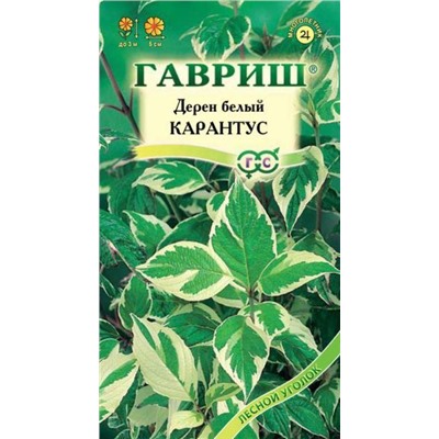 ДК: Дерен Карантус белый /Гавриш/ 0,1г/ кустарник h-3м