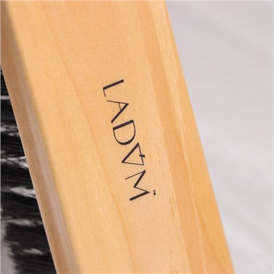 Щётка для одежды и обуви деревянная LaDо́m, 18.5×5×4 см, 200 пучков
