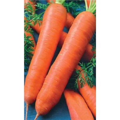 [СибСад] Морковь Королева Осени - 2 гр
