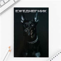 Ежедневник А5, 80 л. Тонкая обложка «Доберман»