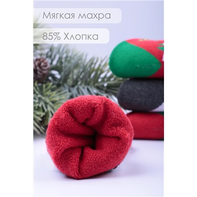 Носки мужские махровые GL1606