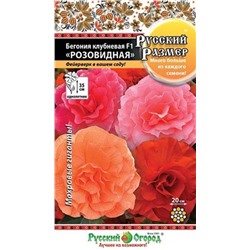 Ком: Бегония Розовидная смесь F1 Русский размер  /НК/ 5шт/ клубн. h-35см d-20см