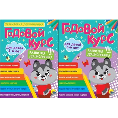 ТерриторияДошкольника Годовой курс развития дошкольника (от 5 до 6 лет) (2 вар.обл.), (Проф-Пресс, 2022), Обл, c.96