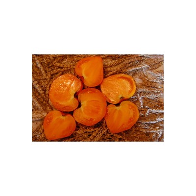 Земляника оранжевая – 1