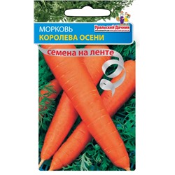 Морковь Королева Осени (НА ЛЕНТЕ)