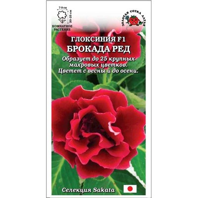 Ком: Глоксиния Брокада Ред F1 /Сотка/ 5шт/ красн. махр. h-25см d-9см Sakata/*500