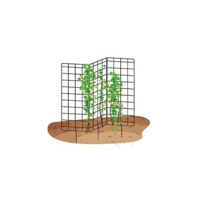 Шпалера 3D для растений 1000х390 (1170)