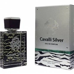 Cavalli Silver Pour Homme (для мужчин) EDP 100 мл ОАЭ