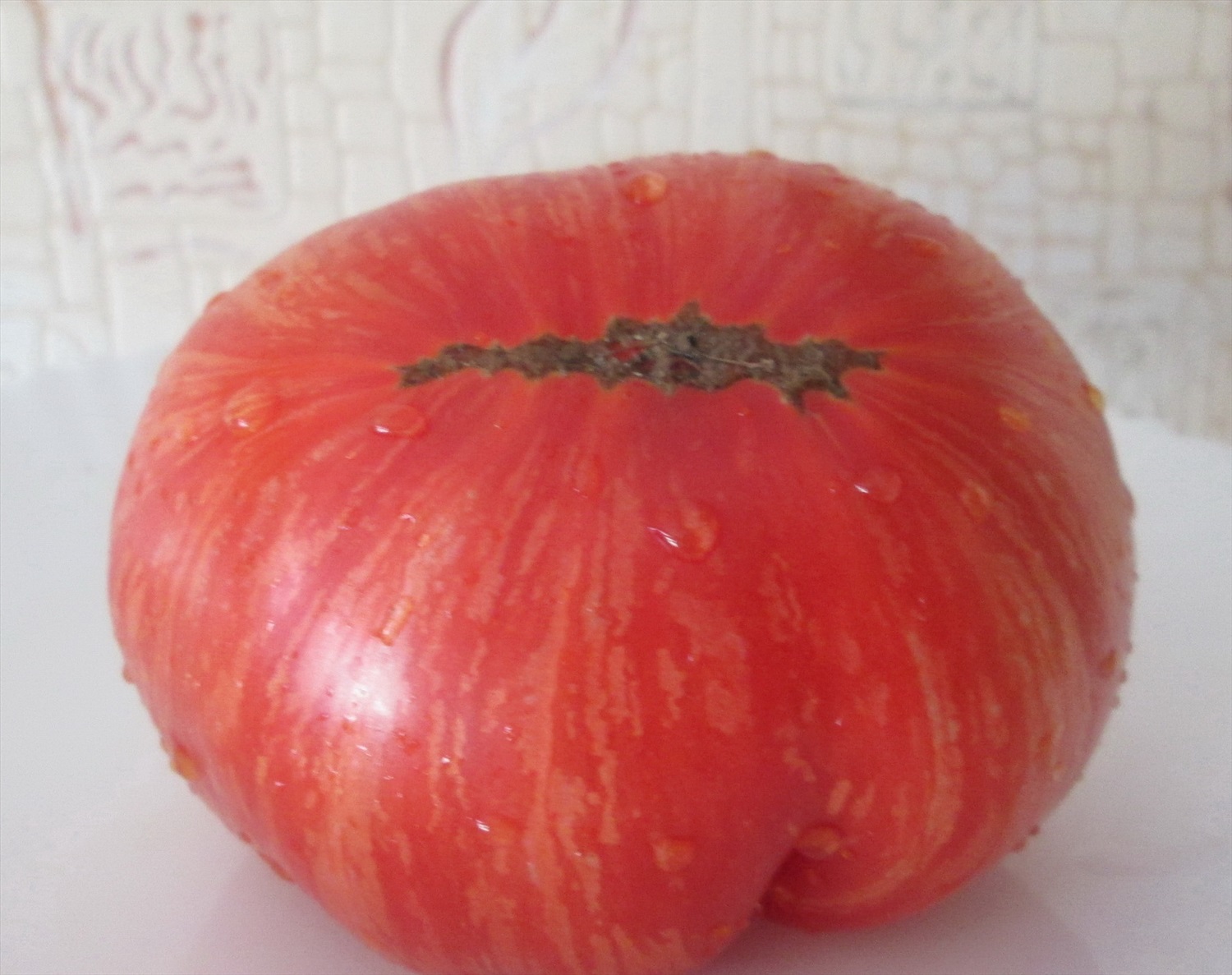 томаты сорта канада